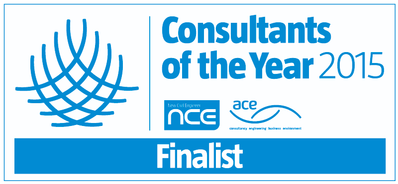 NCE/ACE Consultants of the Year 2015 Finalist