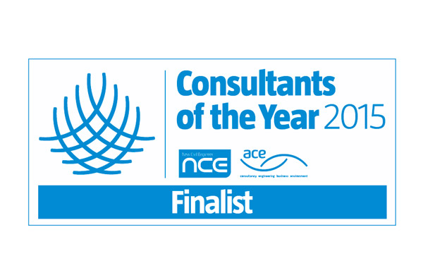 NCE/ACE Consultants of the Year 2015 Finalist